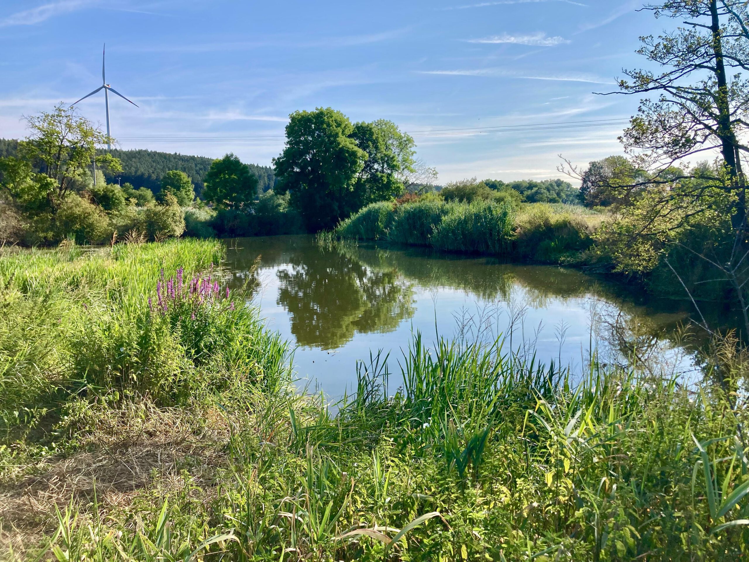 Arbeitsdienstgruppe 3 – Wörnitz 15.11.2025